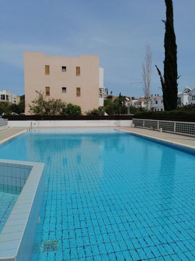 Dream Place For Relax, Sun And Sea All Year Round Paphos Extérieur photo